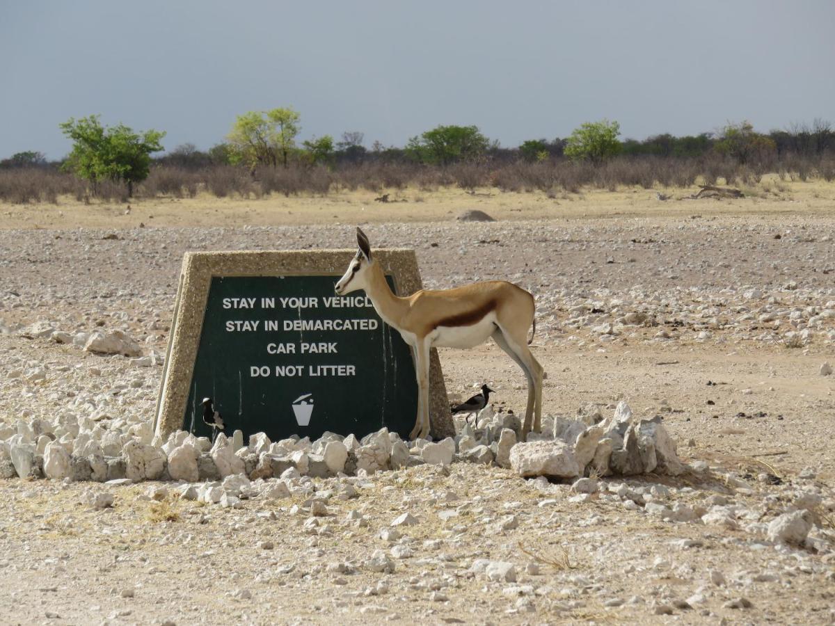 Etosha Safari Campsite Buitenkant foto